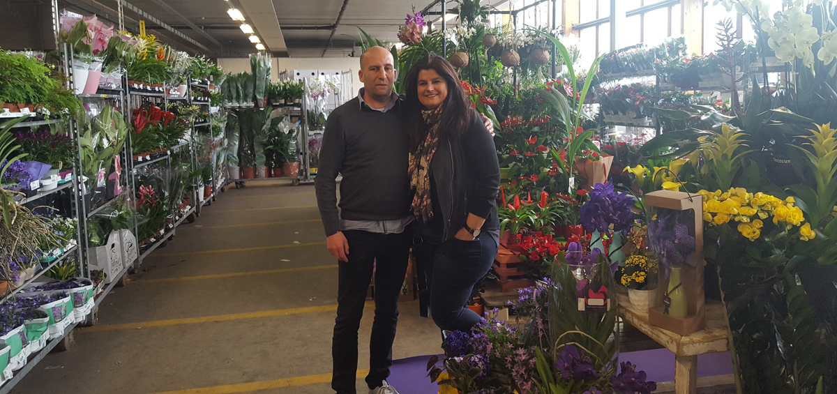 7 Visita al showroom del proveedor holandés donde los gardens afiliados realizan cada año las compras para el Día de la Madre